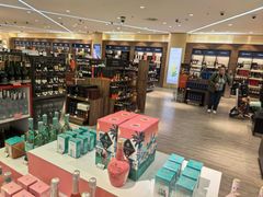 -谢列梅捷沃国际机场