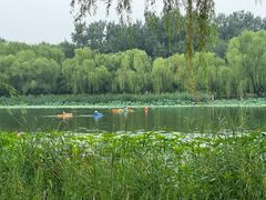 -WhaleSports户外水上运动俱乐部(朝阳公园店)