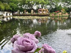 -郭庄景区