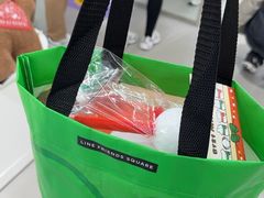 -line friends(明洞旗舰店)