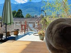 -喵屿·大理花园猫咖