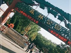 -森林公园(尖草坪区)