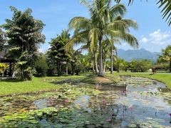 -中国科学院西双版纳热带植物园