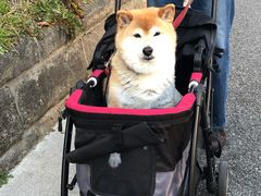 -灌篮高手动画打卡地