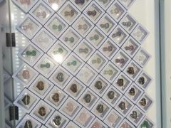 -湖南省地质博物馆