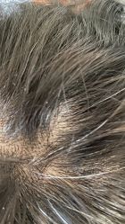 点击看大图 -TITI HAIR STYLE