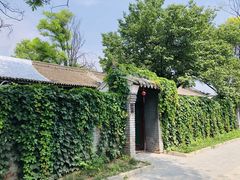 -野鸭湖国家湿地公园