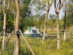 -天津东丽湖风景区