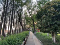 -苏州太湖湖滨国家湿地公园
