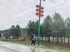 -北极村旅游风景区