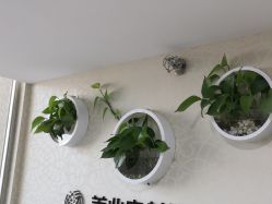 -久匠·纹眉半永久野生眉