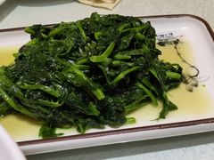 -蜀竹情酒楼(北营房店)