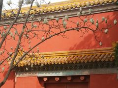 -北京市劳动人民文化宫(太庙)