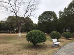-燕鸣岛