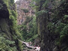 -茅兰沟国家森林公园