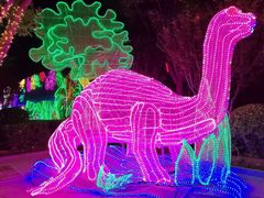 -南宫五洲植物乐园