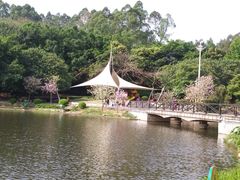 -南国桃园旅游度假区