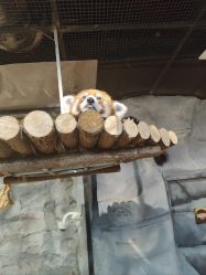 -Zoolung Zoolung动物主题公园(海信广场店)