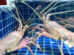 -徐记海鲜(梅溪新天地店)