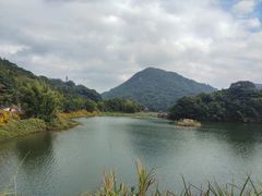 -广州市石门国家森林公园