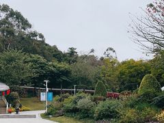 -广州市白云山风景名胜区