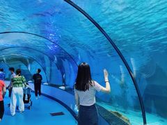 -泉城欧乐堡海洋极地世界