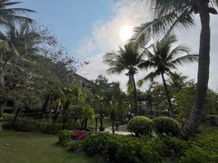 -海南清水湾莱佛士酒店