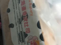-格瑞思动物奶油生日蛋糕(园区永旺店)