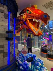 -乐高品牌旗舰店(人民广场店)