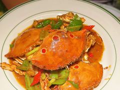 -禄婶鸡煲·打边炉