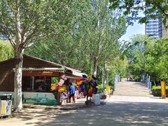 -长白岛森林公园