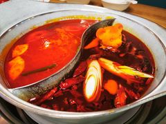 -青瓷火锅料理(西单大悦城店)