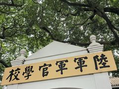 -长洲岛