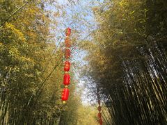 -竹泉村旅游度假区