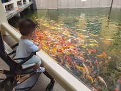 -番禺宾馆丽苑厅