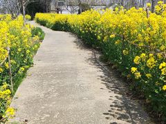 -金陵后厨·南京菜(新街口秣陵路店)