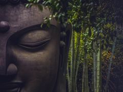 -杭州植物园