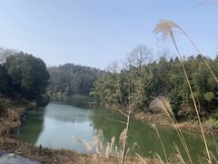 -重庆雨台山风景区