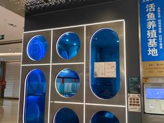 -鱼酷活鱼烤鱼(江宁金鹰店)