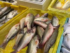 -天津金元宝滨海农产品交易市场(共发大道)