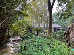 -南山植物园