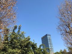 -望江楼公园