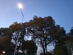 -艾溪湖湿地公园