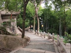 -灵岩山风景区