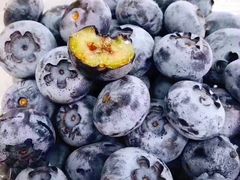 -上海龙吴水胜海发市场