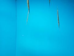 -北戴河圣蓝海洋公园