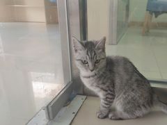 -宠颐生·恒爱宠物医院(静海店)