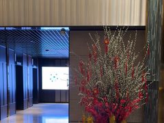 -新加坡乌节希尔顿酒店 (SG Clean)