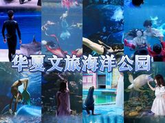 -华夏文旅西安度假区