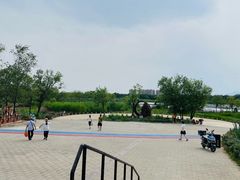 -绿堤公园